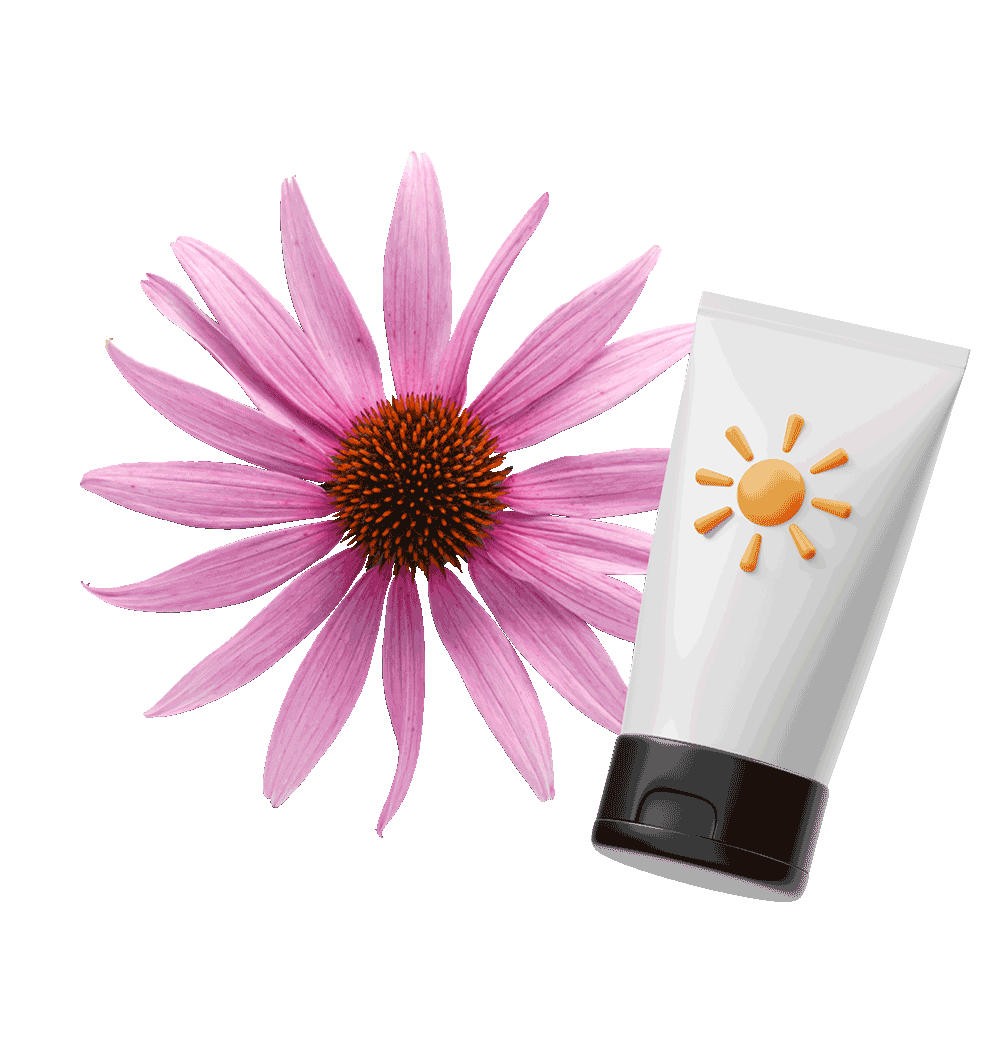  Hybrid  - Tanke Bräune und jugendliche Frische zugleich im Sonnenstudio Solarium Sunresidenz in Korbach und Frankenberg!